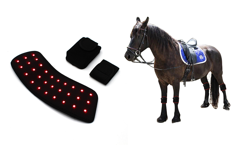 YD-008 Equine Horse Pad Red light and Near Infrared Red(NIR) Light therapy animal pad