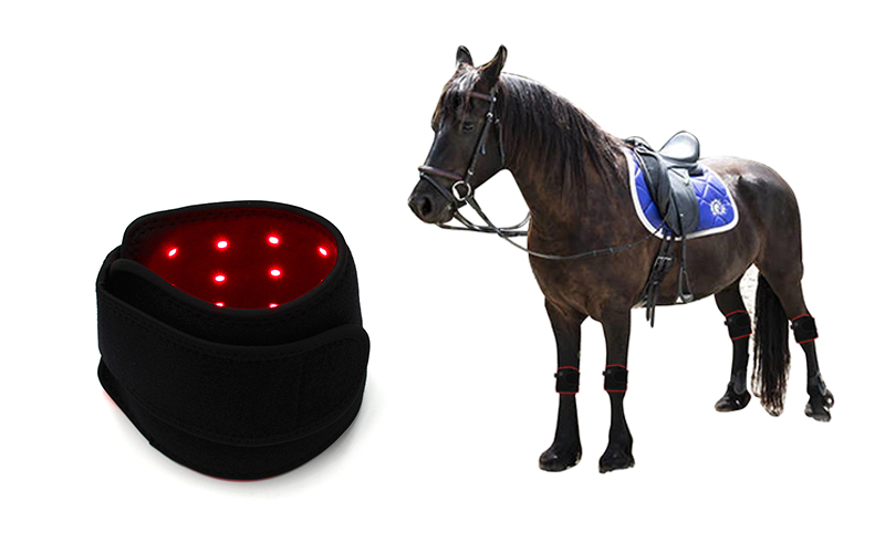 YD-008 Equine Horse Pad Red light and Near Infrared Red(NIR) Light therapy animal pad