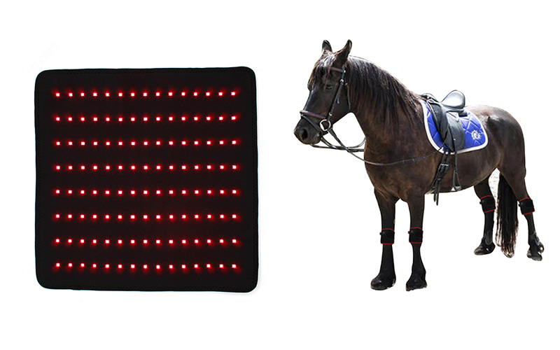 Reduce Inflammation Equine Canine Light Therapy Pads Wound Healing for Animal